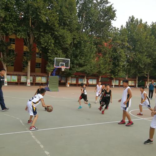 漯河体育直播小学篮球比赛的相关图片